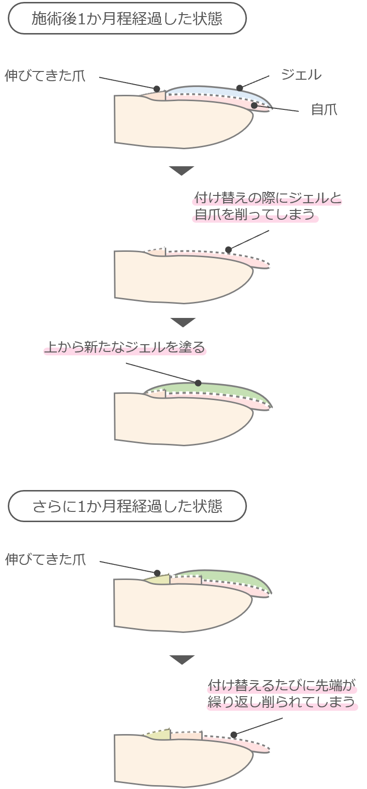 活動歴および当時の関連ビジュアル記録